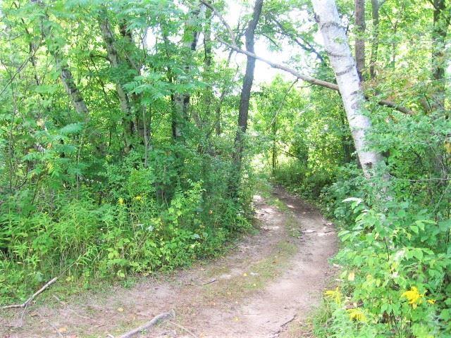 0 Birchtree Road Lexington, MI 48450 - Photo 14 of 19