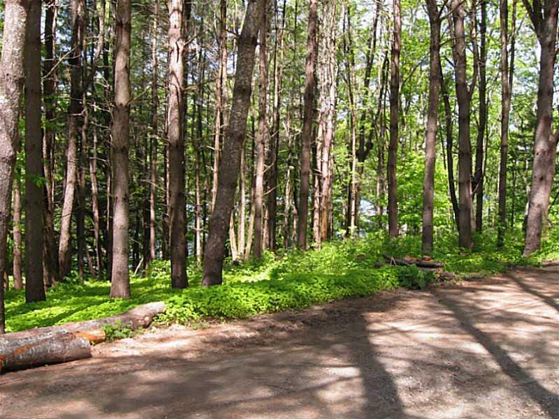 0 Seven Seven Tree Lane Warren, ME 04864 - Photo 6 of 10 Land/Lot.