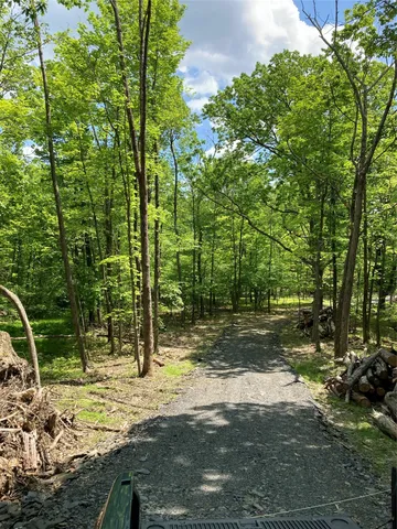 a view of a tree in the middle of a yard
