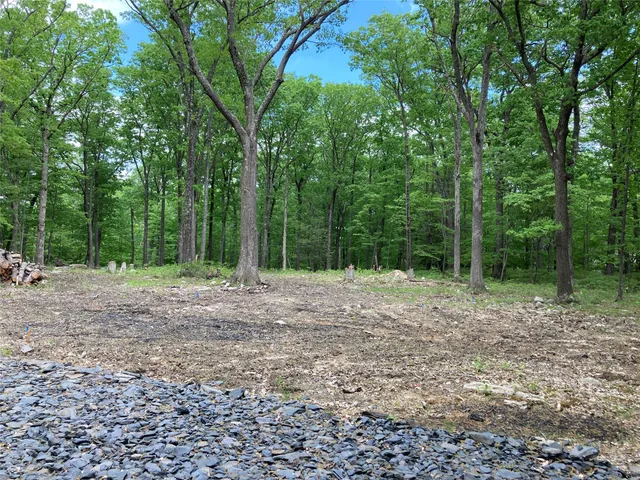 a view of a yard with plants and trees