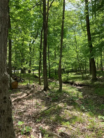 a big yard with lots of green space and trees
