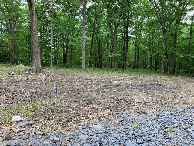 a view of a yard with trees in the background
