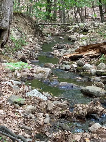 a view of a lake with lots of trees