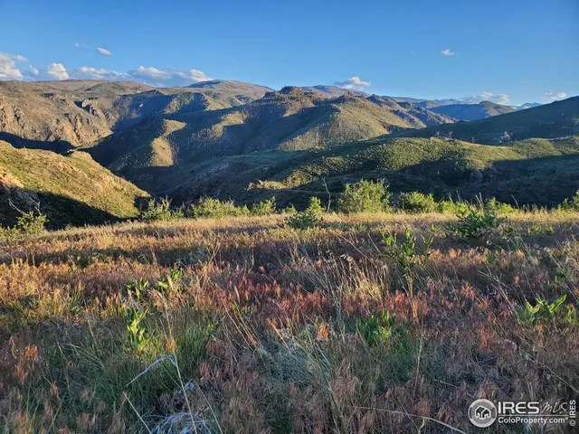 $29,000 | 232 Red Mountain Court, Livermore, CO 80536