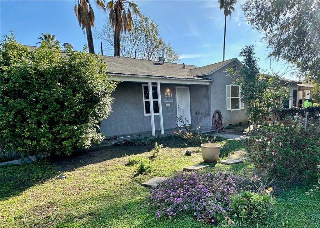 a view of a house with a yard plants and large tree