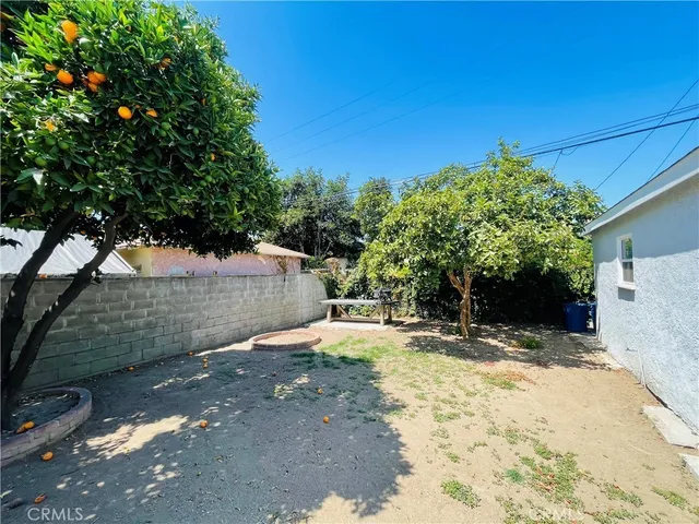 a view of a yard with large tree