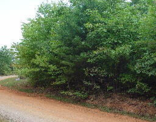 Lot 19 Peaceful Ridge Road Huddleston, VA 24104 - Photo 1 of 5 a view of a yard