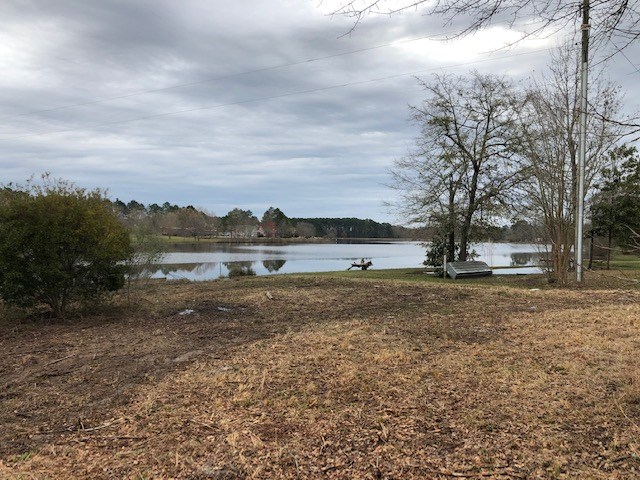 Lot 16 Elizabeth Street Cochran, GA 31014 - Photo 4 of 14