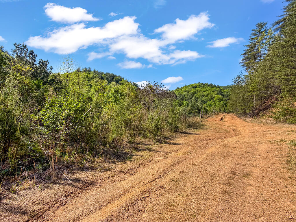 40-ac #1 40-ac Road Mineral Bluff, GA 30559 - Photo 19 of 35 Gallery Image 19