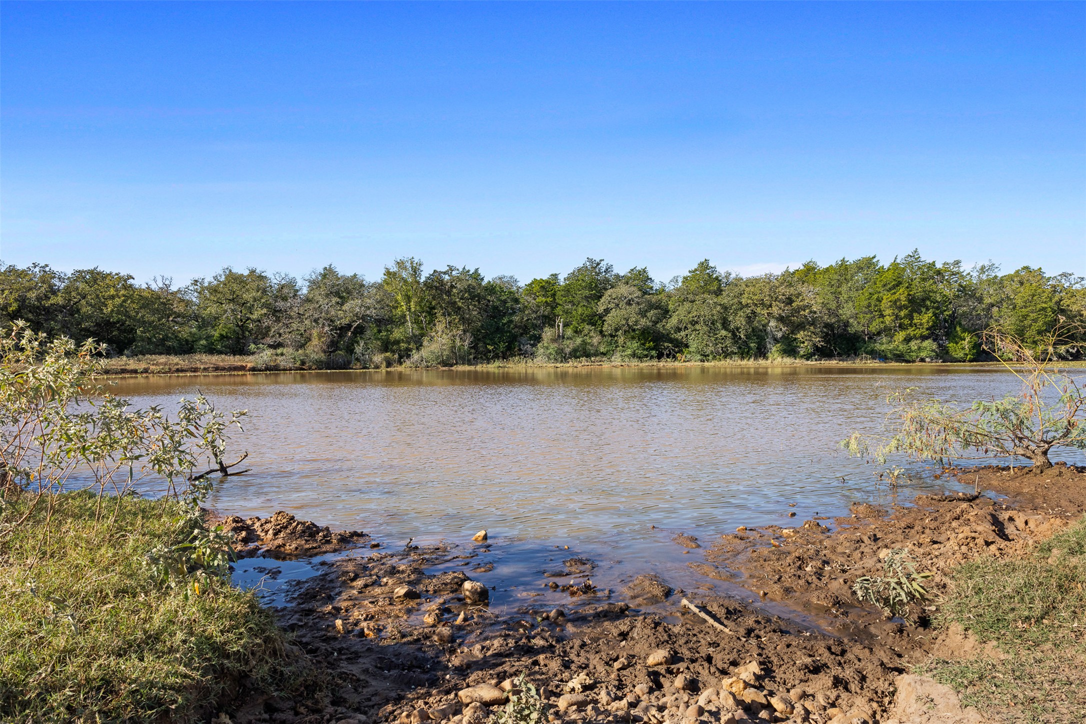 0 Stockade Ranch Road Paige, TX 78659 - Photo 11 of 37 Water view with a forest