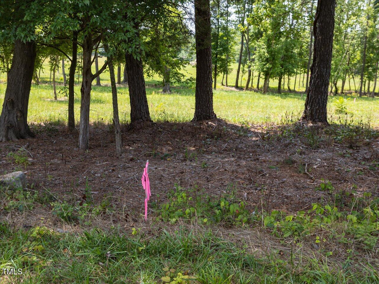 287 Buck Gunter Road Siler City, NC 27344 - Photo 9 of 13 32-041-Tract03-Chatham-Parcel-14928-5Tra