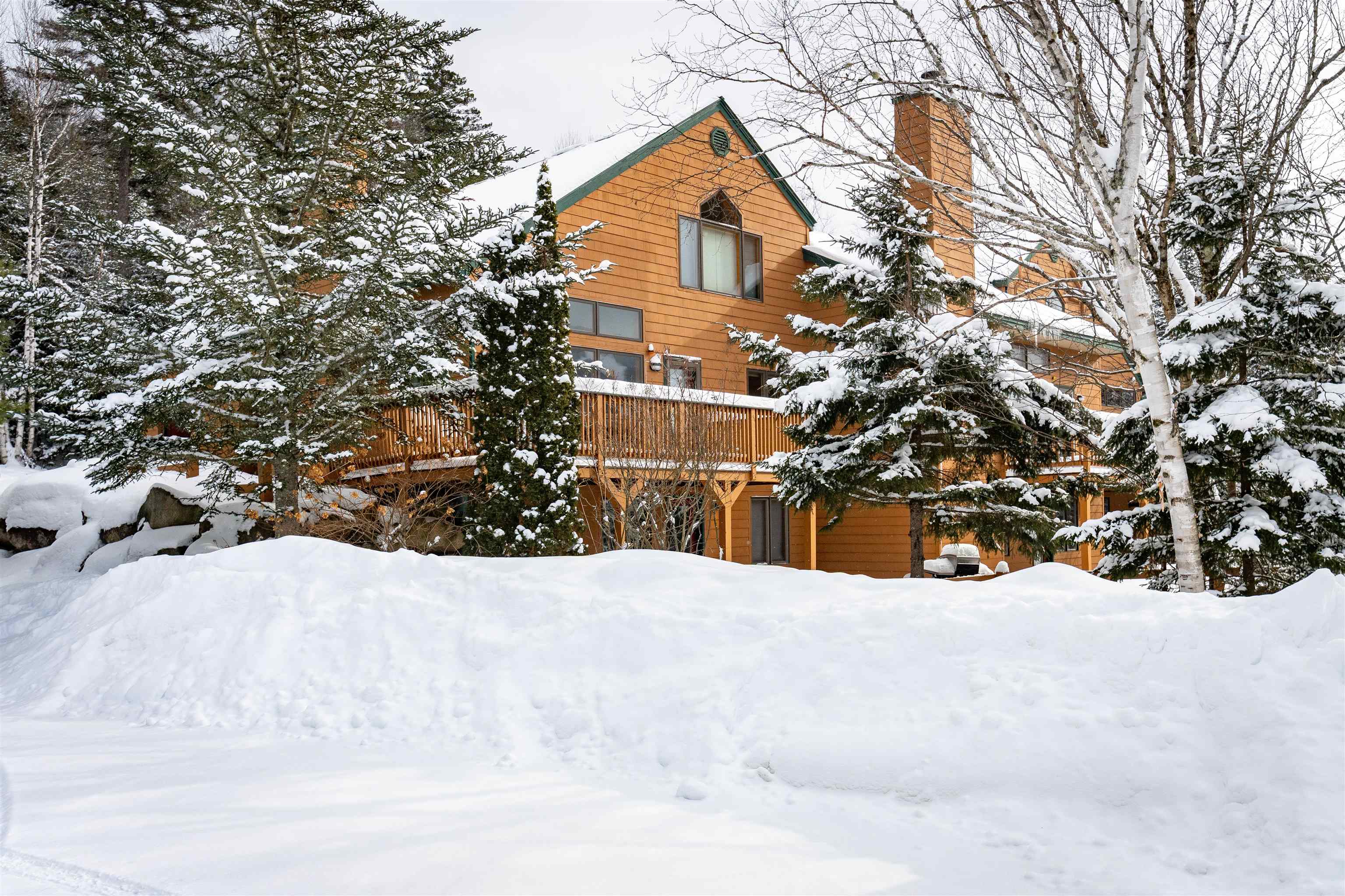 72 Appleby Close, Unit 41 Carroll, NH 03595 - Photo 29 of 43