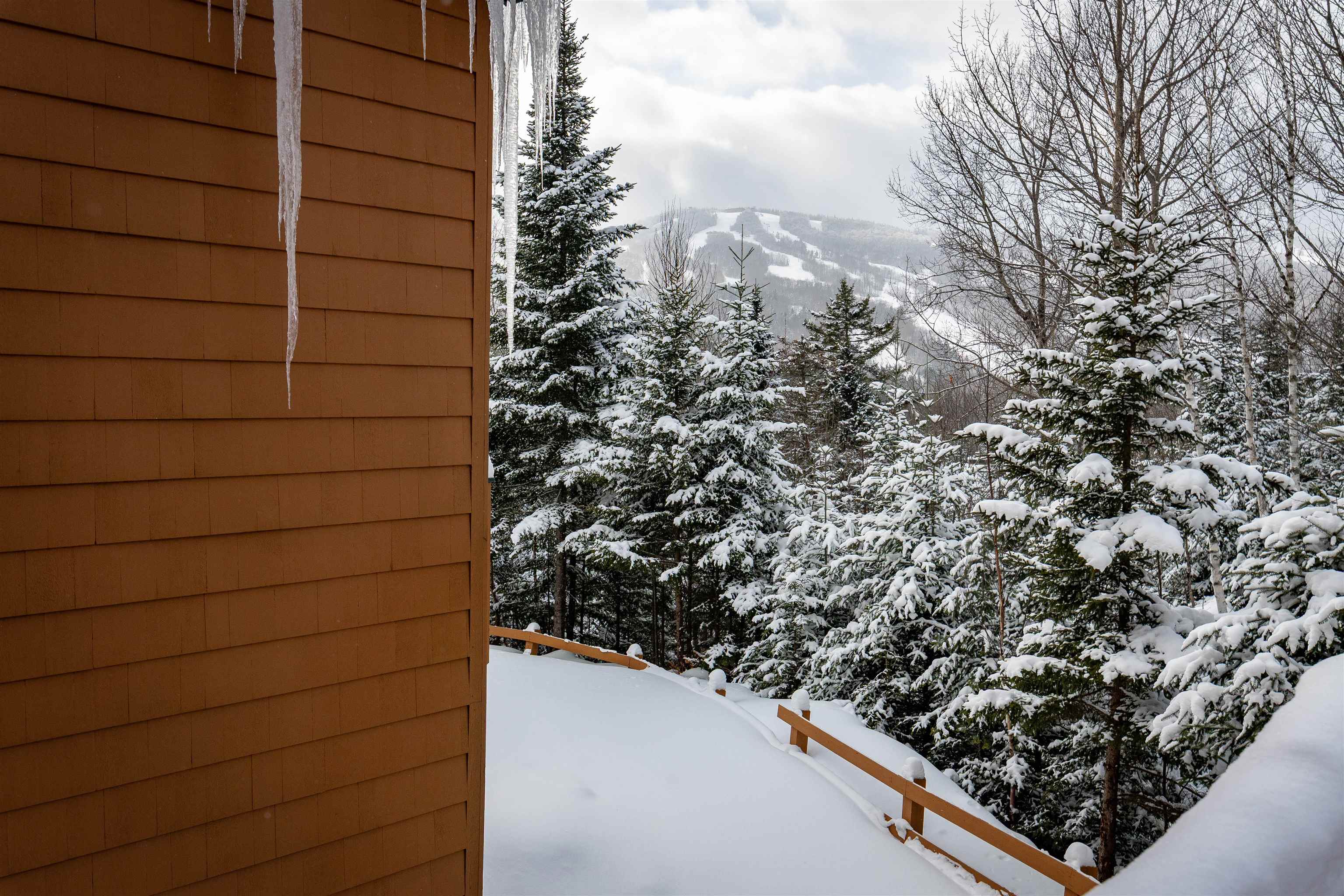 72 Appleby Close, Unit 41 Carroll, NH 03595 - Photo 33 of 43