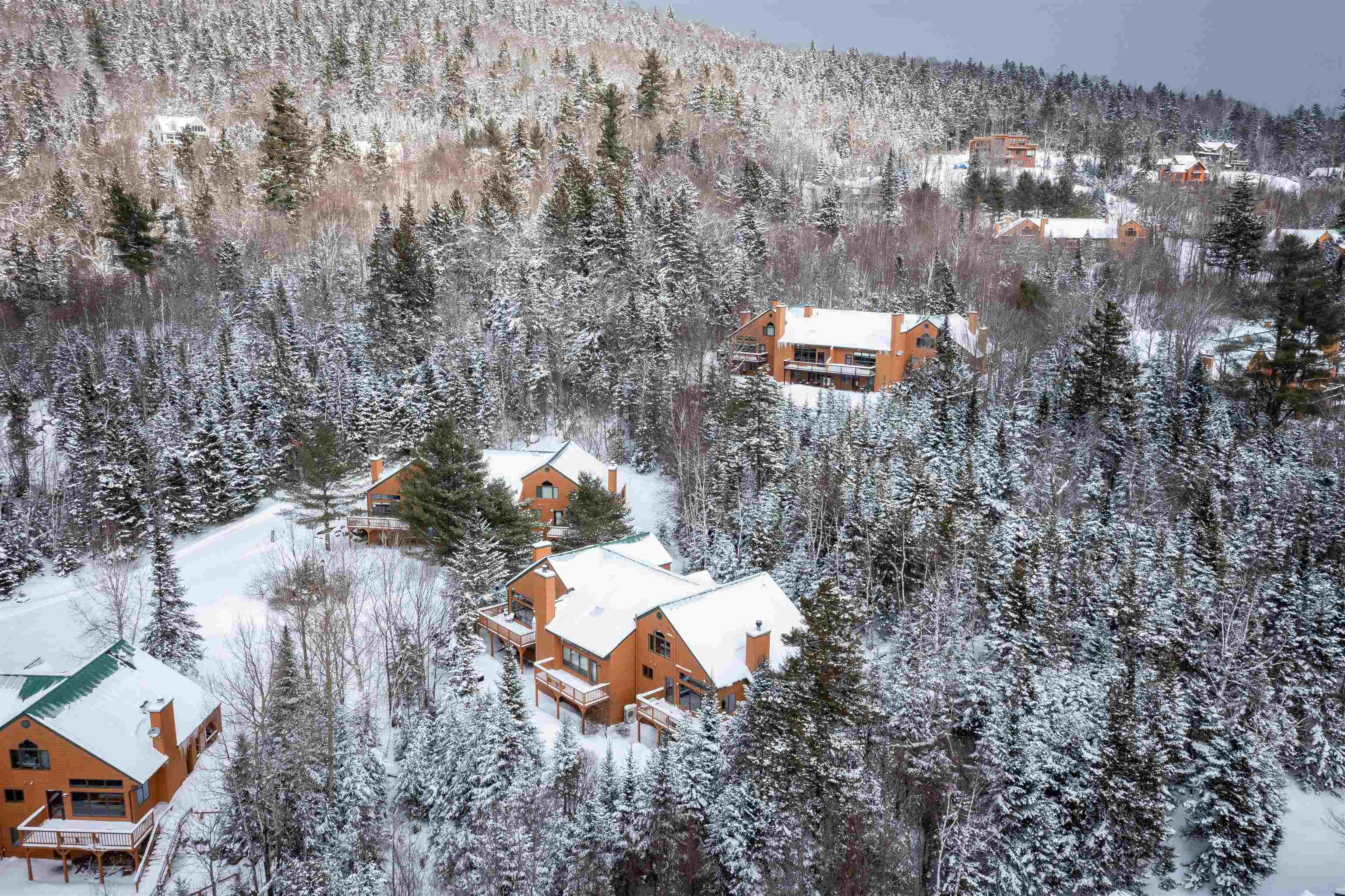 72 Appleby Close, Unit 41 Carroll, NH 03595 - Photo 35 of 42