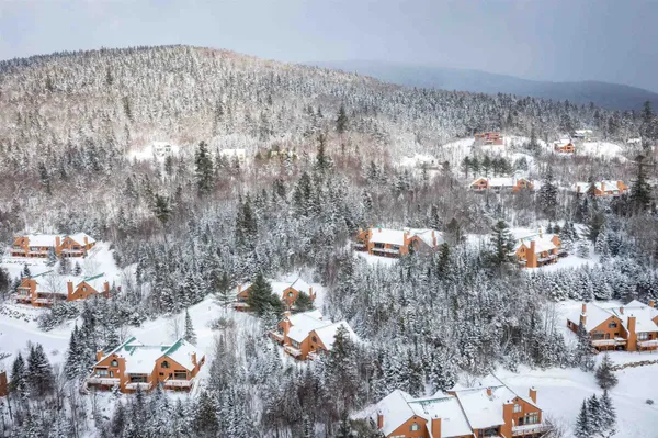 $739,000 | 72 Appleby Close, Unit 41, Carroll, NH 03595