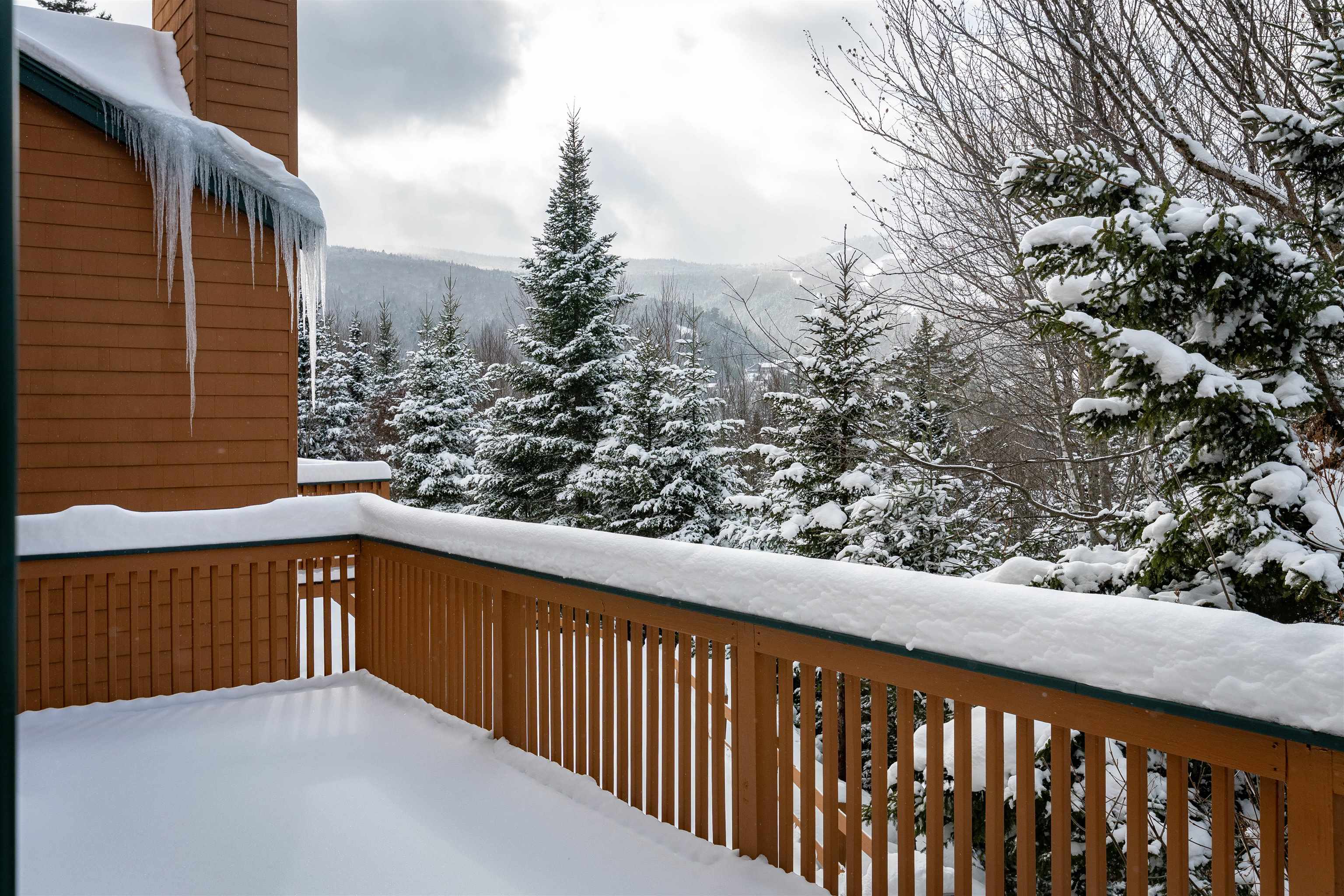 72 Appleby Close, Unit 41 Carroll, NH 03595 - Photo 4 of 43