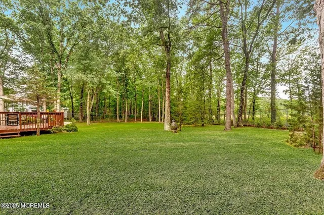 a view of a park with large trees