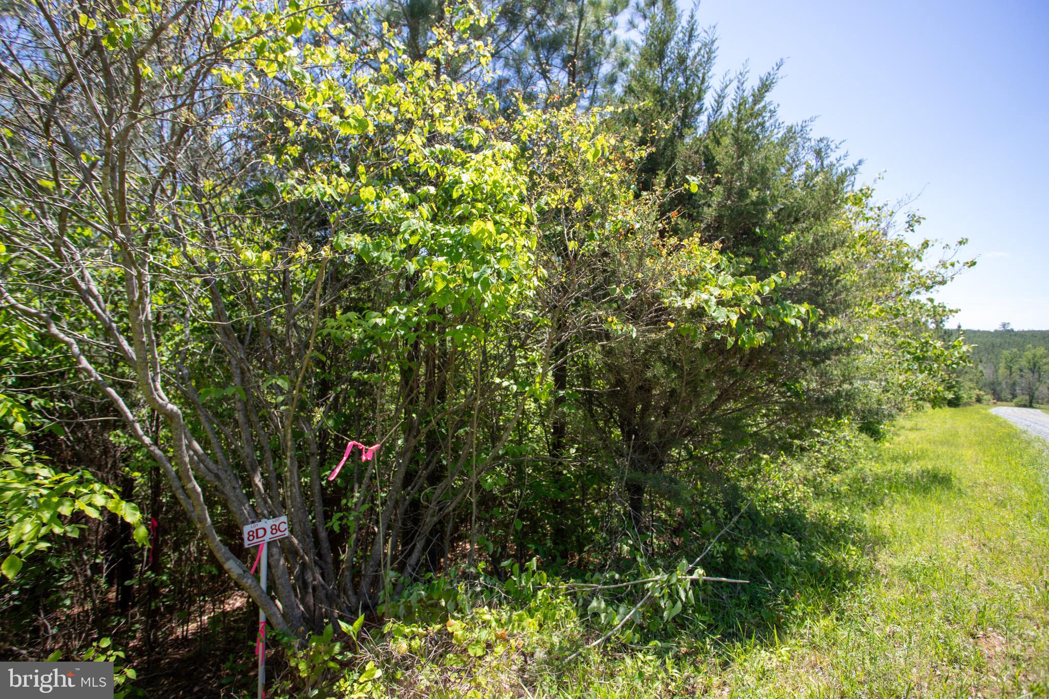 Tbd Tbd Appletree, Unit 8C Sandy Level, VA 24161 - Photo 16 of 25