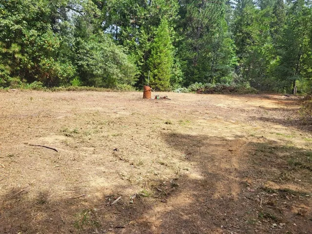 a view of a yard with a tree