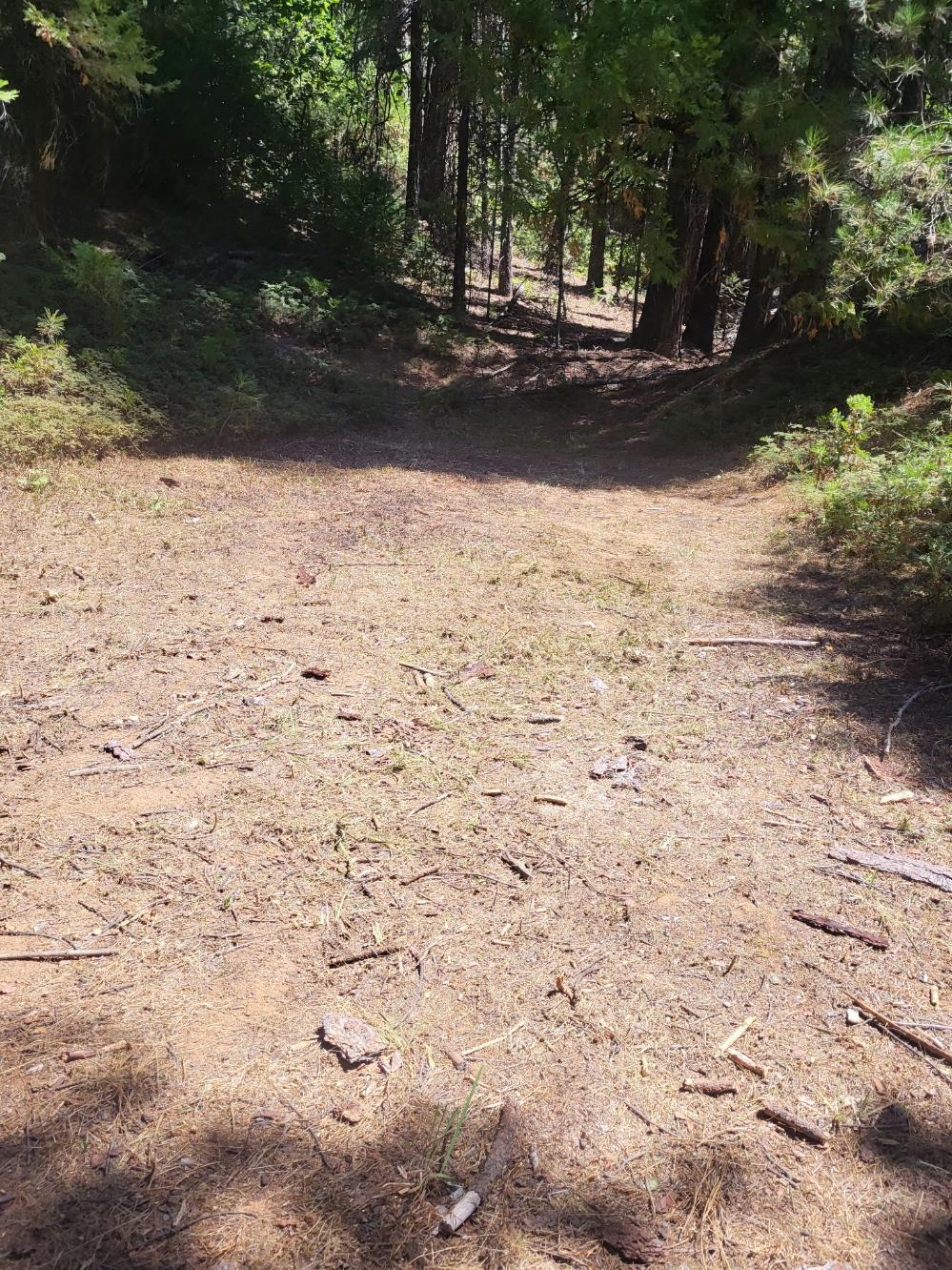 0 Quarts Mountain Road West Point, CA 95255 - Photo 11 of 13 a view of road and trees