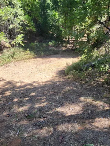 a view of a yard with a tree