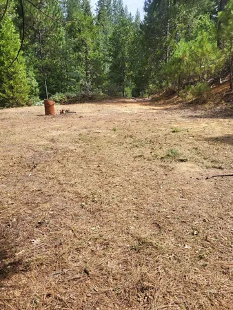 a view of a yard with a tree