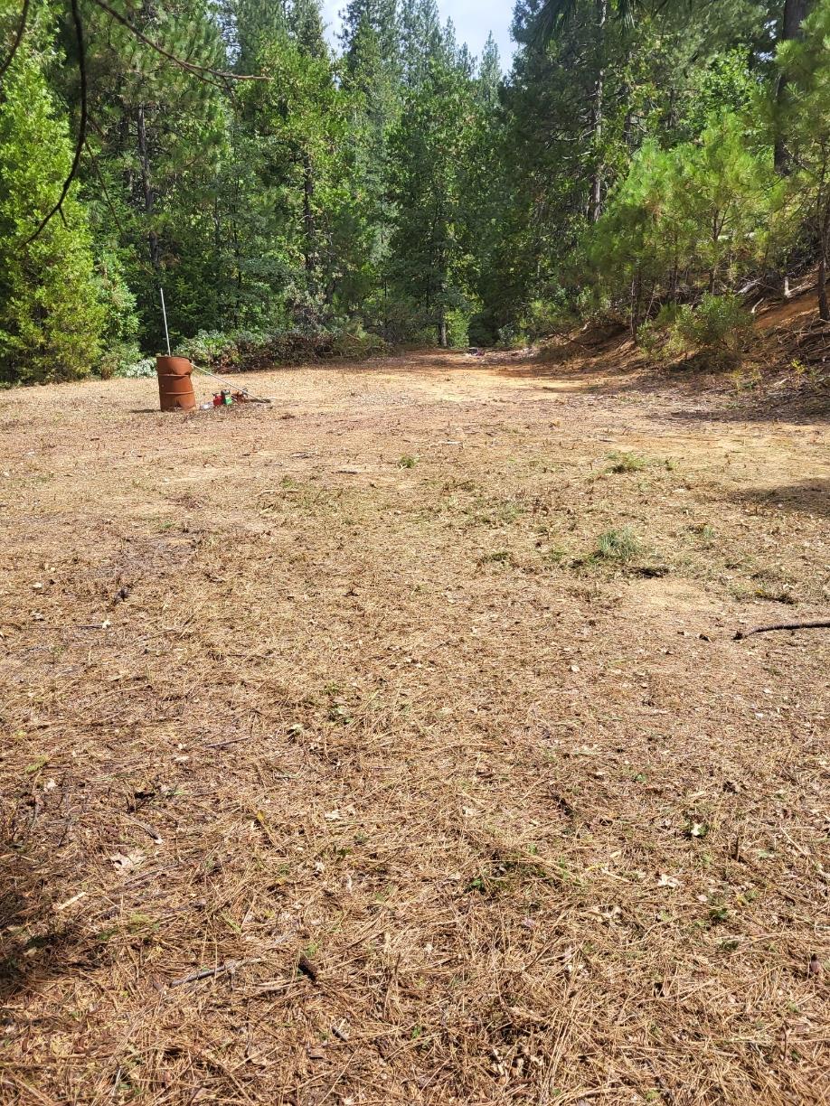 0 Quarts Mountain Road West Point, CA 95255 - Photo 2 of 13 a view of a yard with a tree