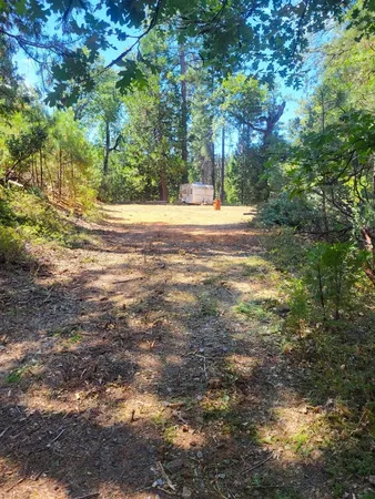 a view of yard with green space