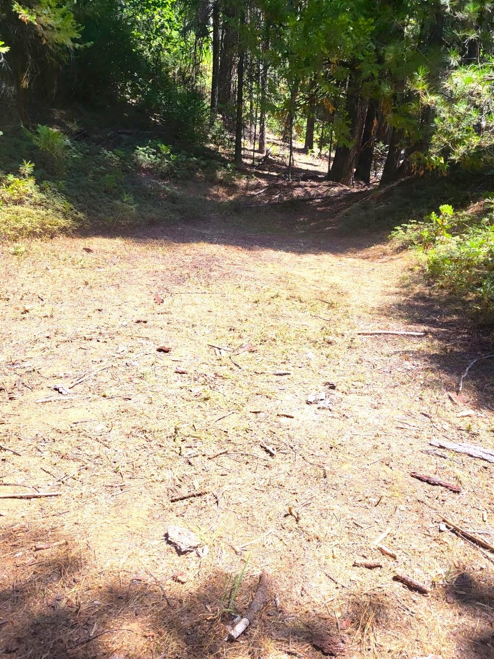0 Quarts Mountain Road West Point, CA 95255 - Photo 4 of 13 a view of parking space with trees