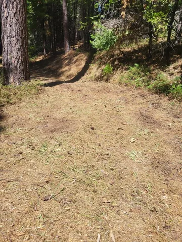 a view of a yard with trees