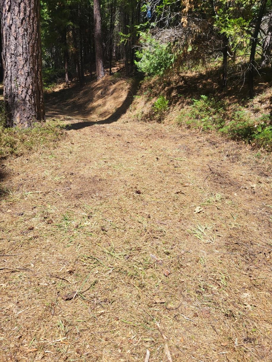 0 Quarts Mountain Road West Point, CA 95255 - Photo 5 of 13 a view of a yard with trees