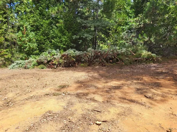 a view of a yard with a tree