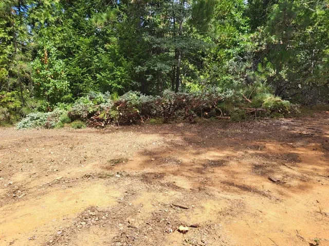 a view of a yard with a tree