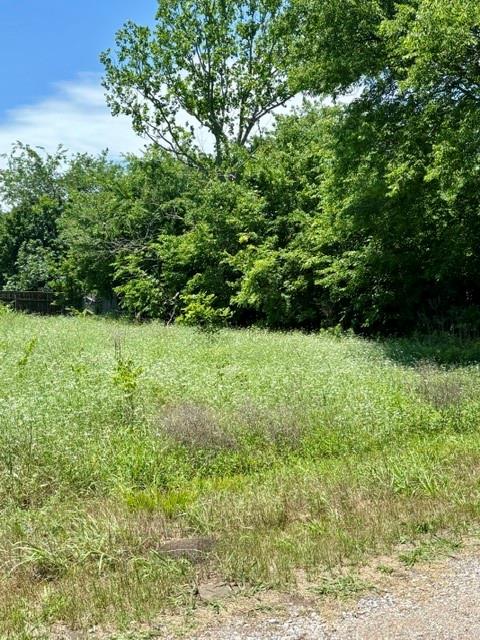 1345 Mike Road Quinlan, TX 75474 - Photo 3 of 5 Right side with tree line