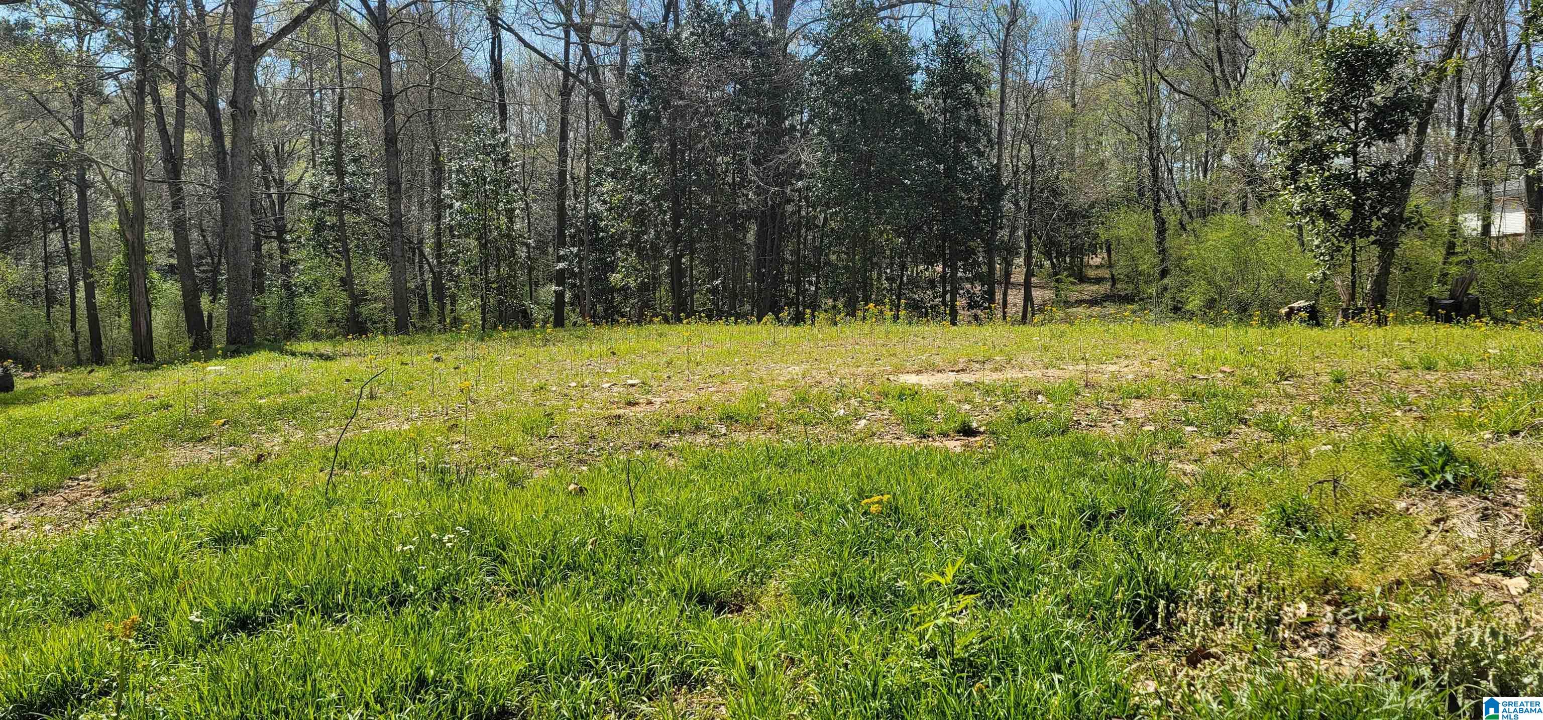 0 Osborne Street, Unit 3 ACRES Heflin, AL 36264 - Photo 5 of 11