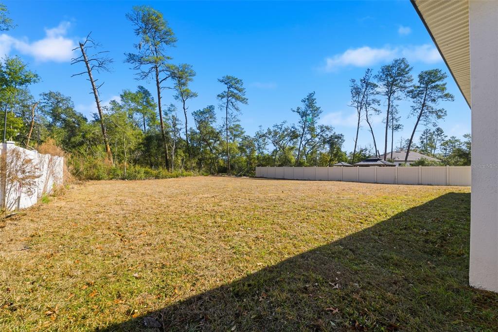4473 Southwest 168th Lane Ocala, FL 34473 - Photo 28 of 33 a view of yard with large trees