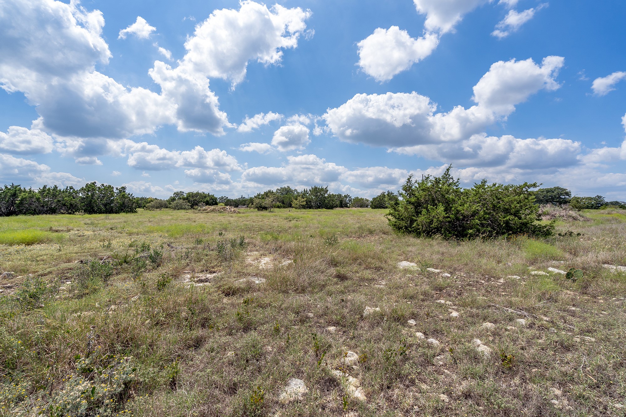 584 Saddle Ridge Drive Bertram, TX 78605 - Photo 2 of 12