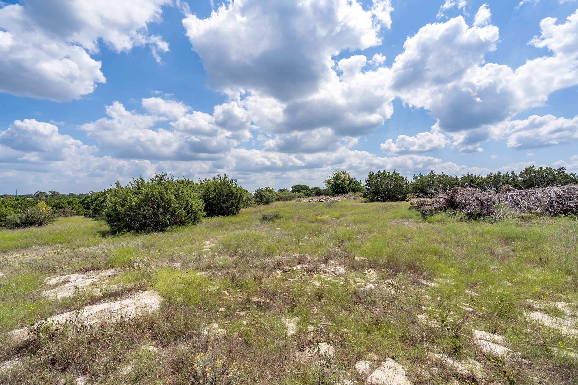 584 Saddle Ridge Drive Bertram, TX 78605 - Photo 3 of 12 a view of a big yard with lots of green space