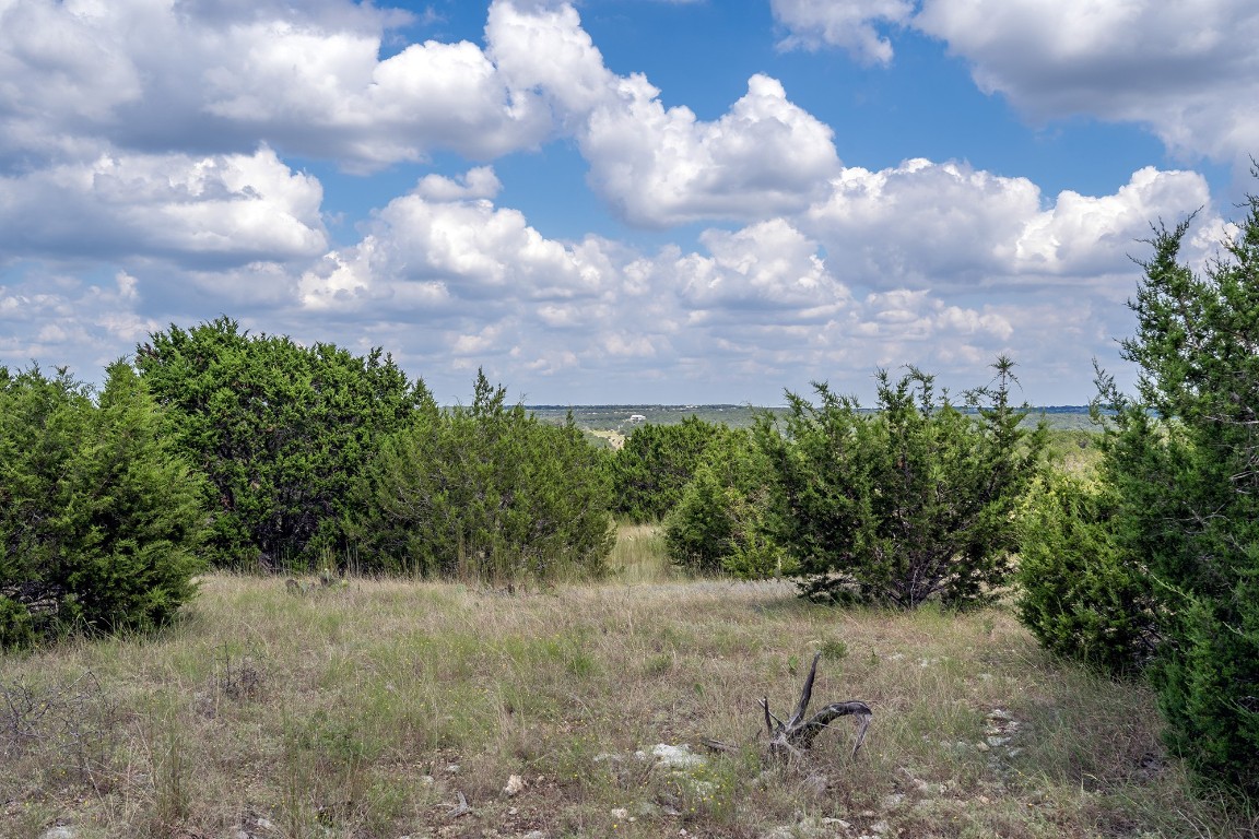 584 Saddle Ridge Drive Bertram, TX 78605 - Photo 5 of 12 a view of a pathway both side of yard
