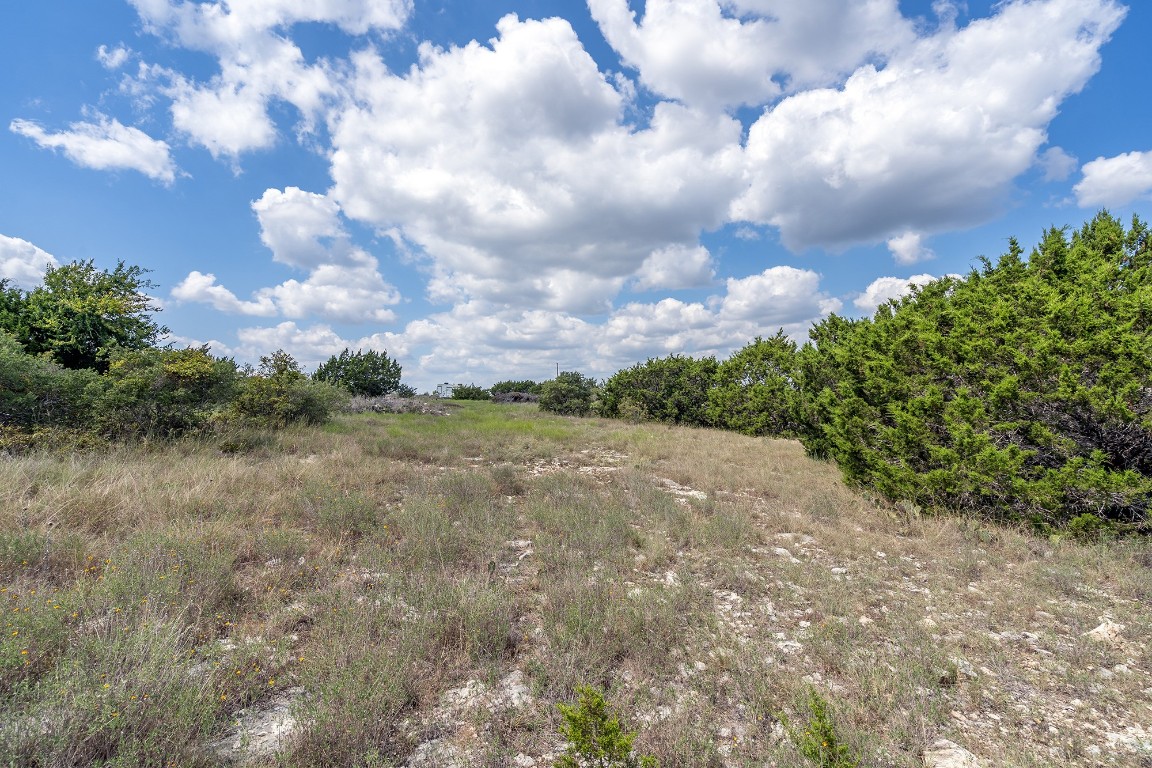 584 Saddle Ridge Drive Bertram, TX 78605 - Photo 6 of 12 a view of a yard