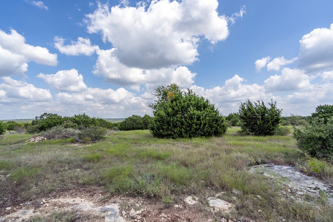 584 Saddle Ridge Drive Bertram, TX 78605 - Photo 7 of 12 a view of a big yard with lots of green space