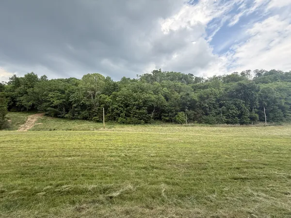$68,900 | 0 Hurricane Branch Lane, Gainesboro, TN 38562