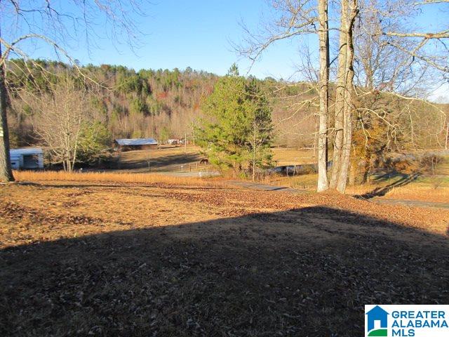 3371 Vaughn Road Altoona, AL 35952 - Photo 5 of 33