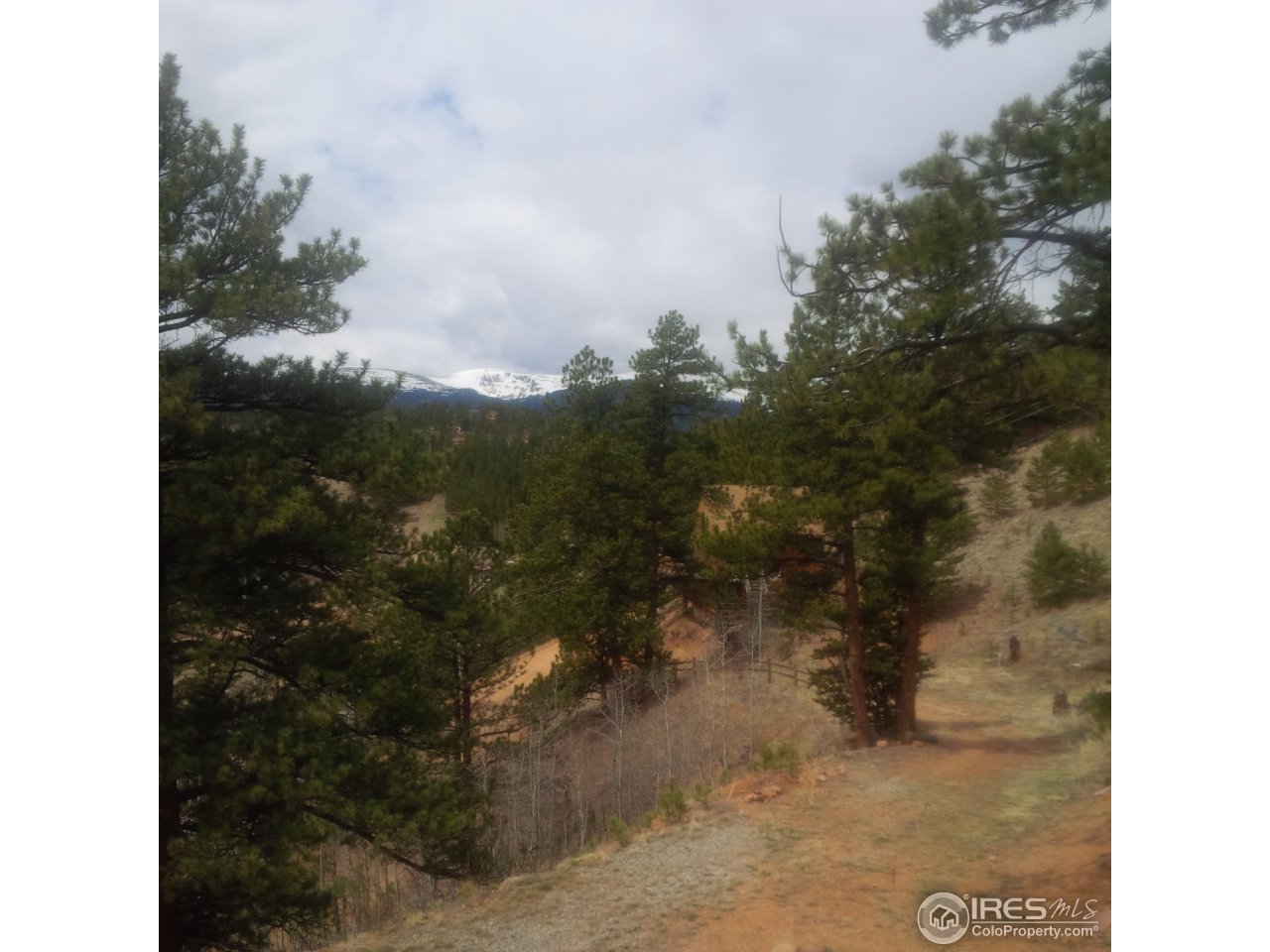 233 Gross Road Bailey, CO 80421 - Photo 8 of 23 a view of a yard