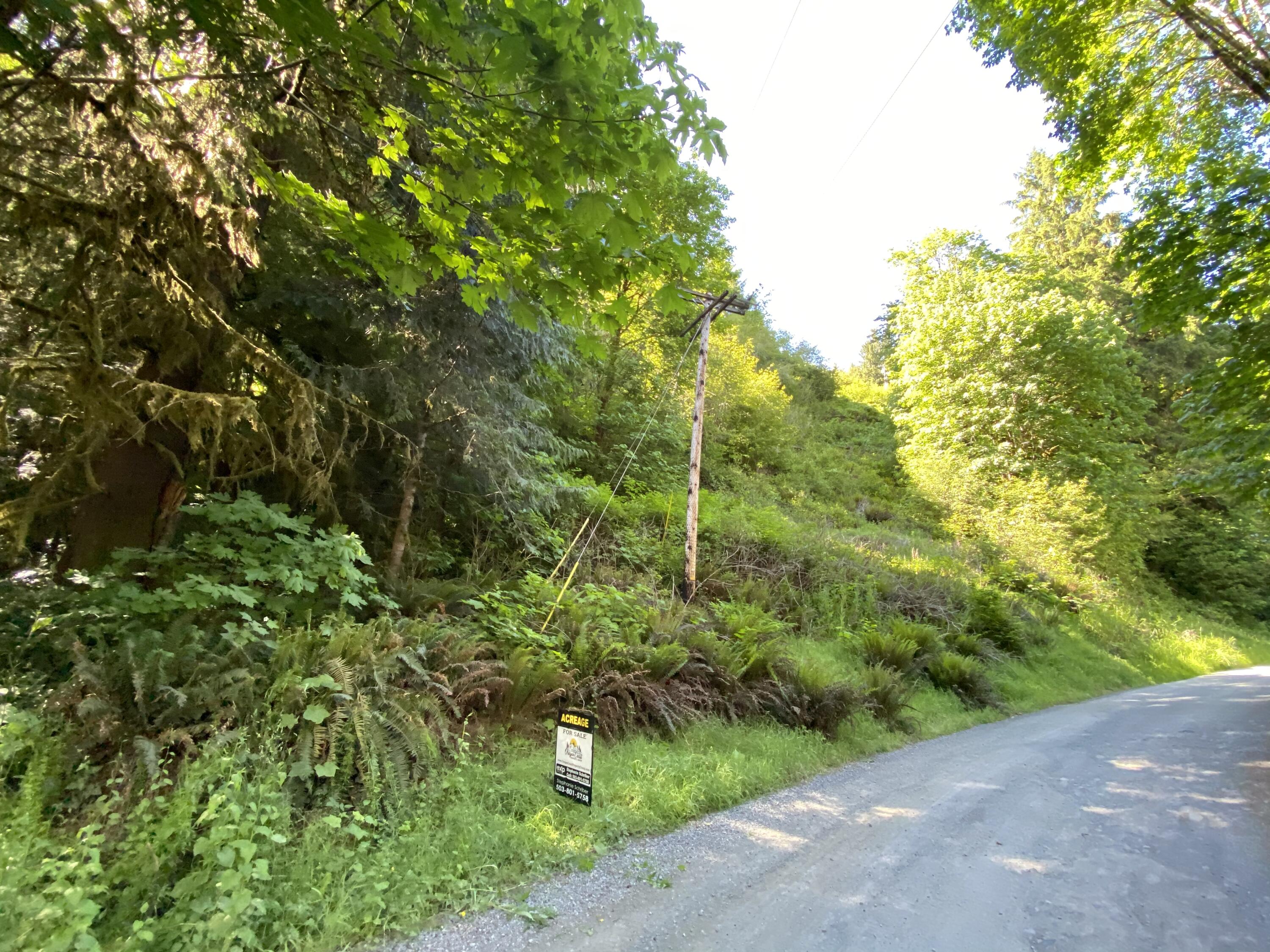 West Point Drive Nehalem, OR 97131 - Photo 11 of 19 Photo Jun 09, 4 21 21 PM
