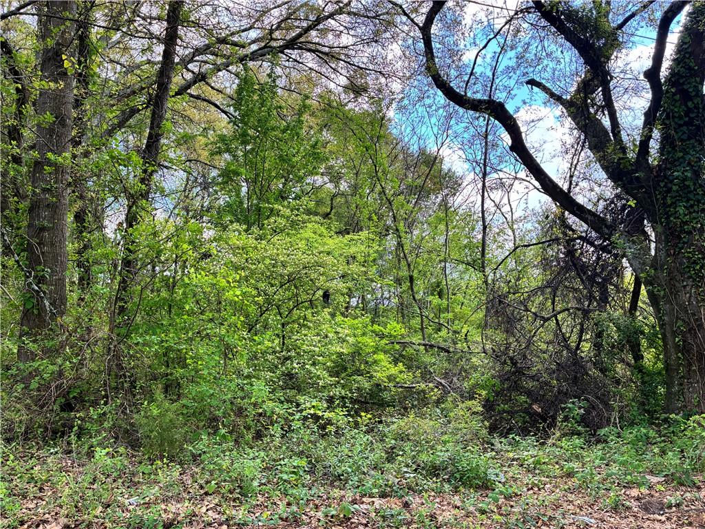 420 Pickfair Avenue Southwest Atlanta, GA 30315 - Photo 2 of 5 a view of trees in a yard