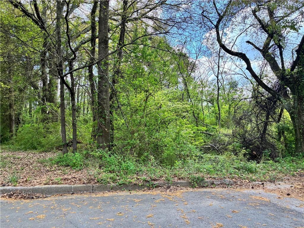 420 Pickfair Avenue Southwest Atlanta, GA 30315 - Photo 3 of 5 a backyard of a house with lots of green space