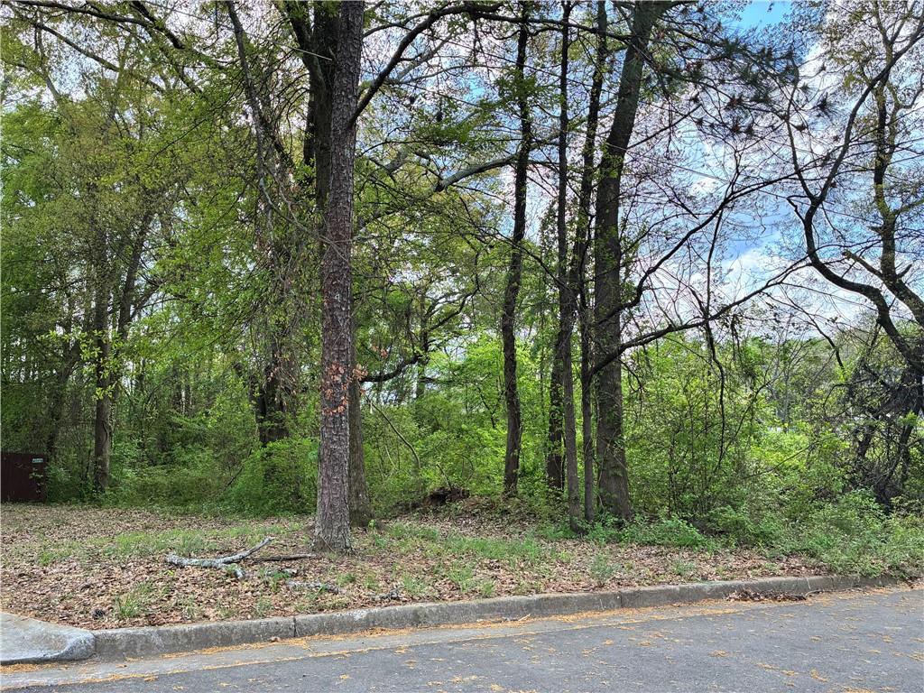 420 Pickfair Avenue Southwest Atlanta, GA 30315 - Photo 4 of 5