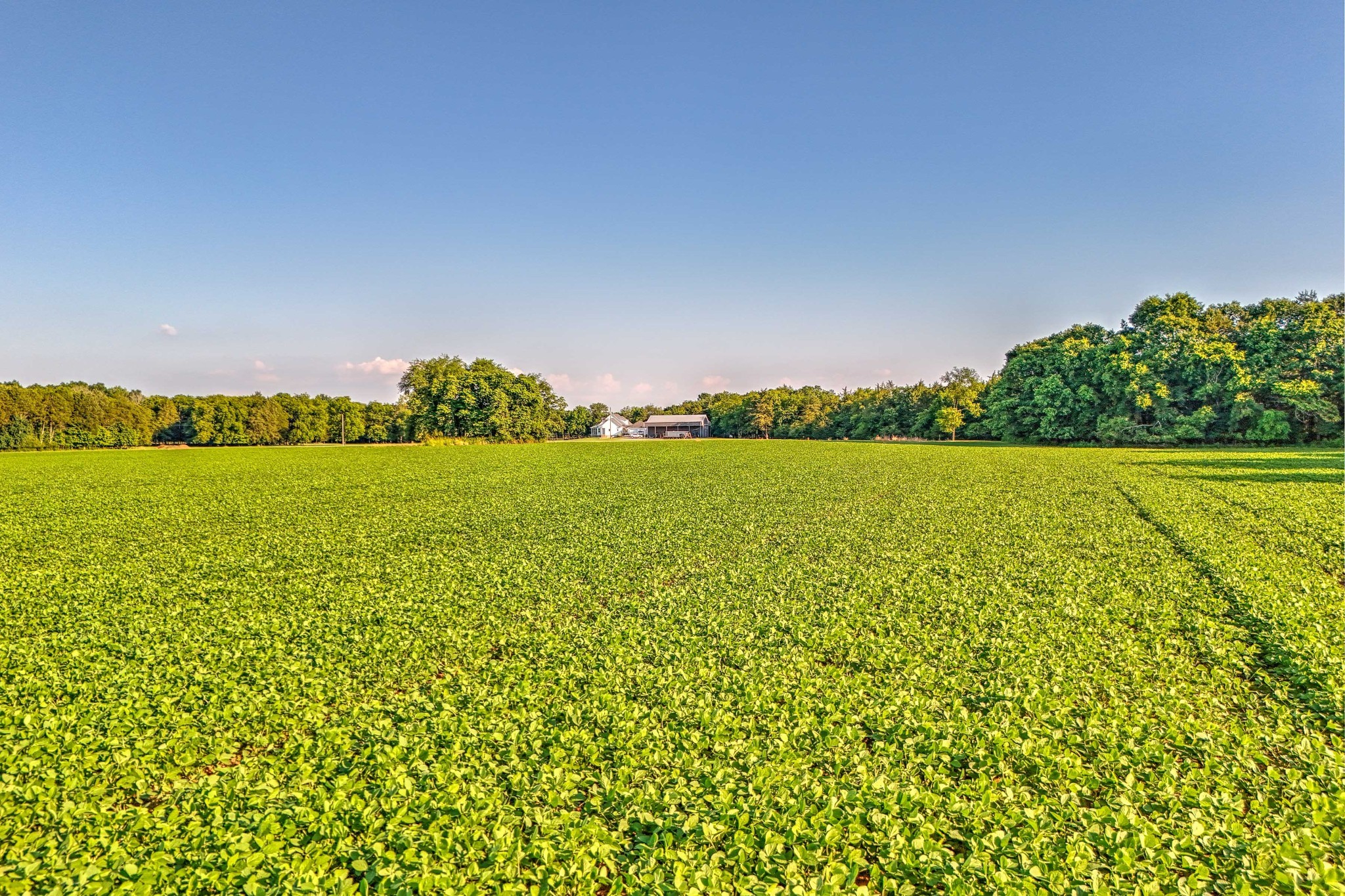 500 Old Pencil Mill Road Unionville, TN 37180 - Photo 44 of 51 Gallery Image 44