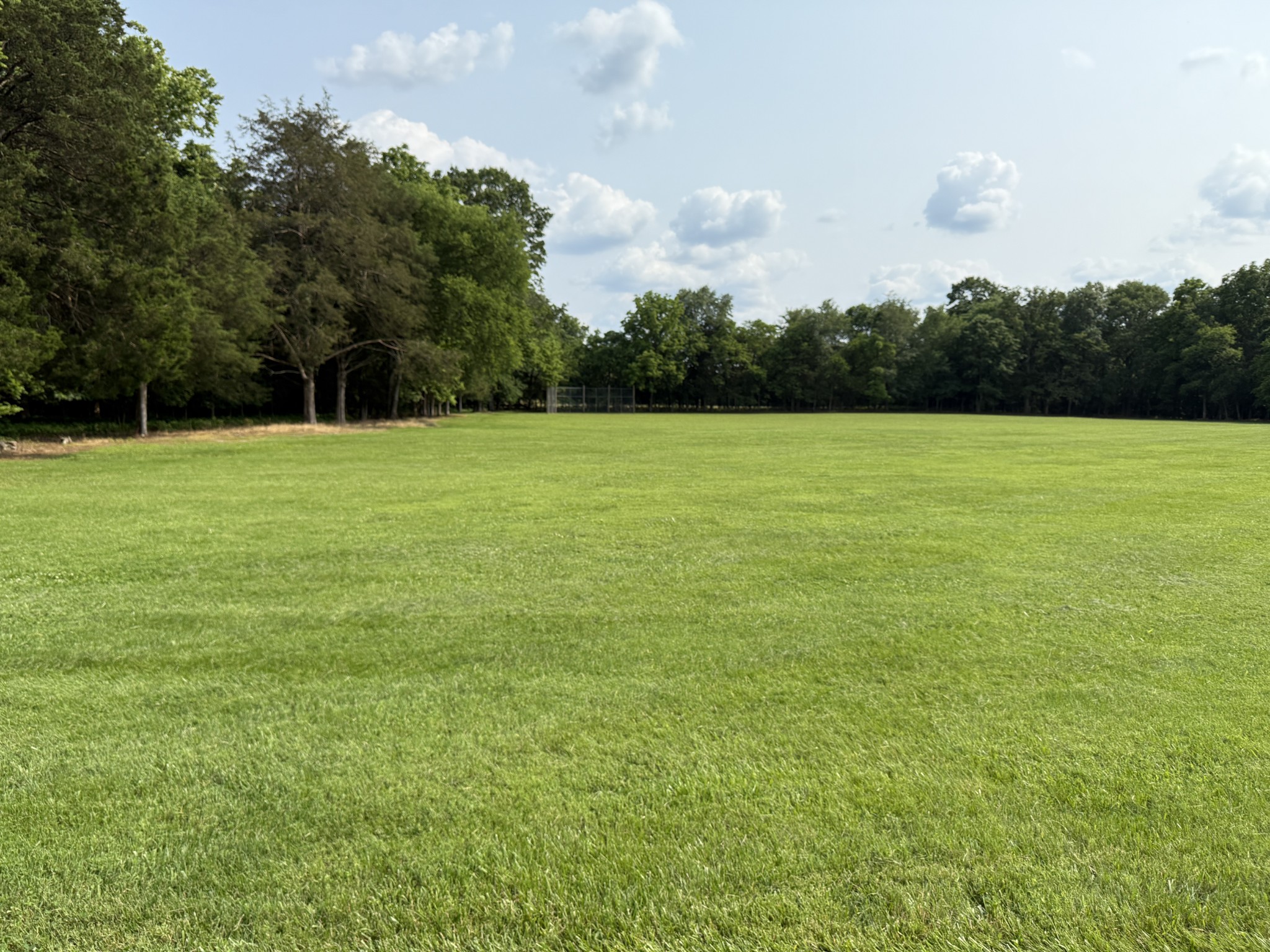 500 Old Pencil Mill Road Unionville, TN 37180 - Photo 48 of 51 Gallery Image 48